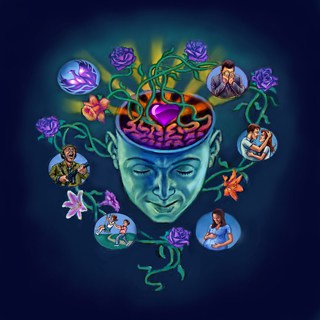 HarvestingHappinessIllustration HH4Heroes Warriors of Joy Sponsorship