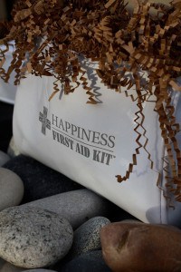 Happiness First Aid Kit Lisa Kamen