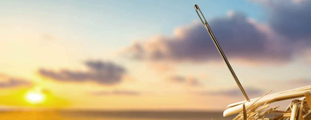 Needle stuck in a stick with the sun and ocean as a background, image referring mental health and healthy lifestyle, two of the services that Lisa Cypers Kamen, expert in recovery support, life mastery and trauma, offers.